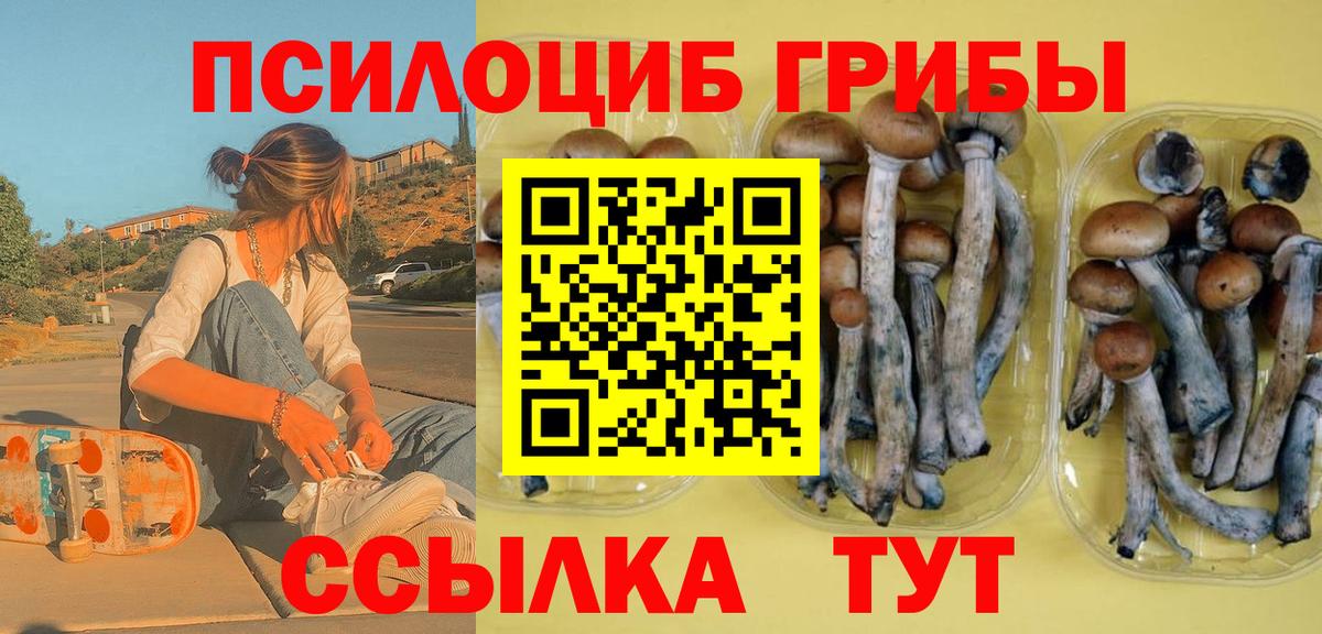 Галлюциногенные грибы Cubensis Нижний Новгород
