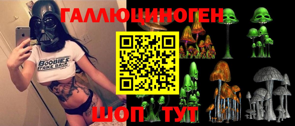 купить наркотики сайты  Вход с VPN  Галлюциногенные грибы Psilocybe  Нижний Новгород  Галлюциногенные грибы GOLDEN TEACHER 